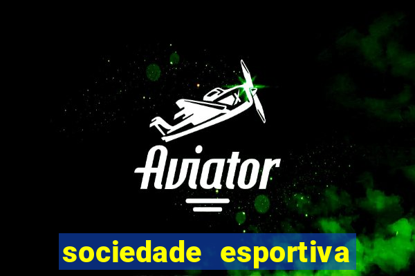 sociedade esportiva palmeiras x botafogo futemax